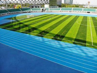 深圳湾体育中心